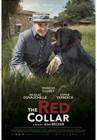 The Red Collar poster